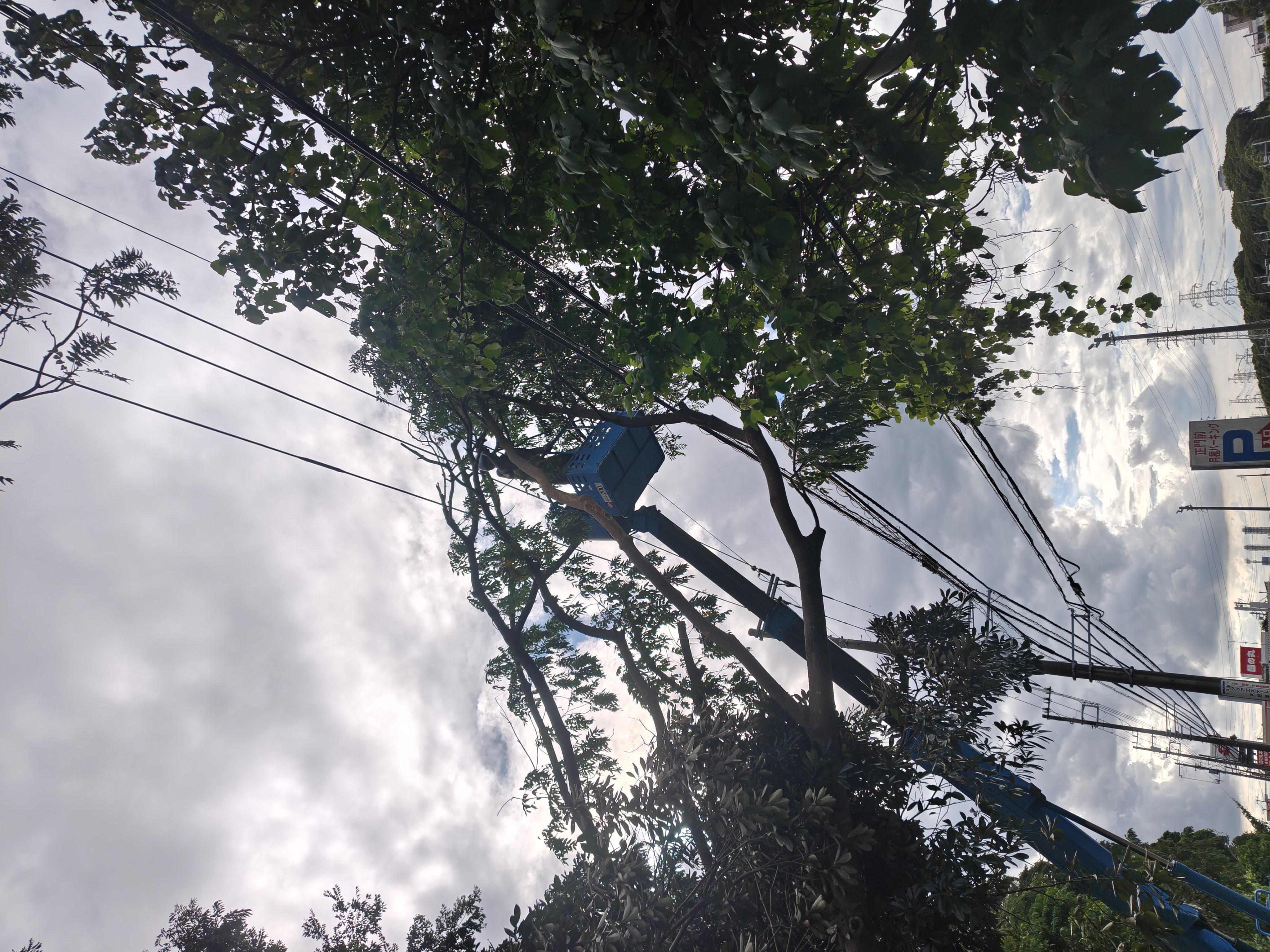 台風25号災害対応①